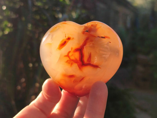 Polished Carnelian Agate Gemstone Hearts x 6 From Madagascar - Toprock Gemstones and Minerals 