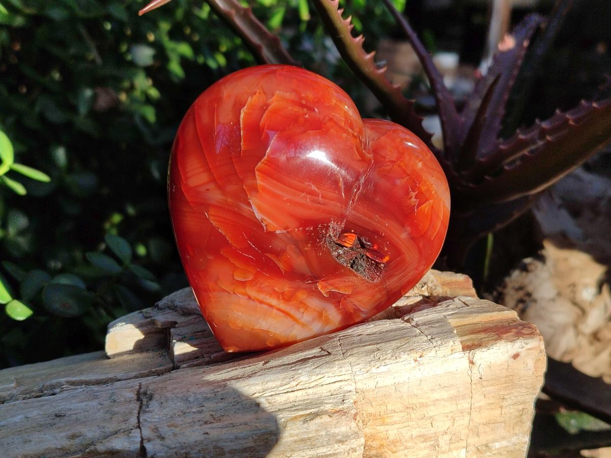 Polished Carnelian Agate Gemstone Hearts x 6 From Madagascar - Toprock Gemstones and Minerals 
