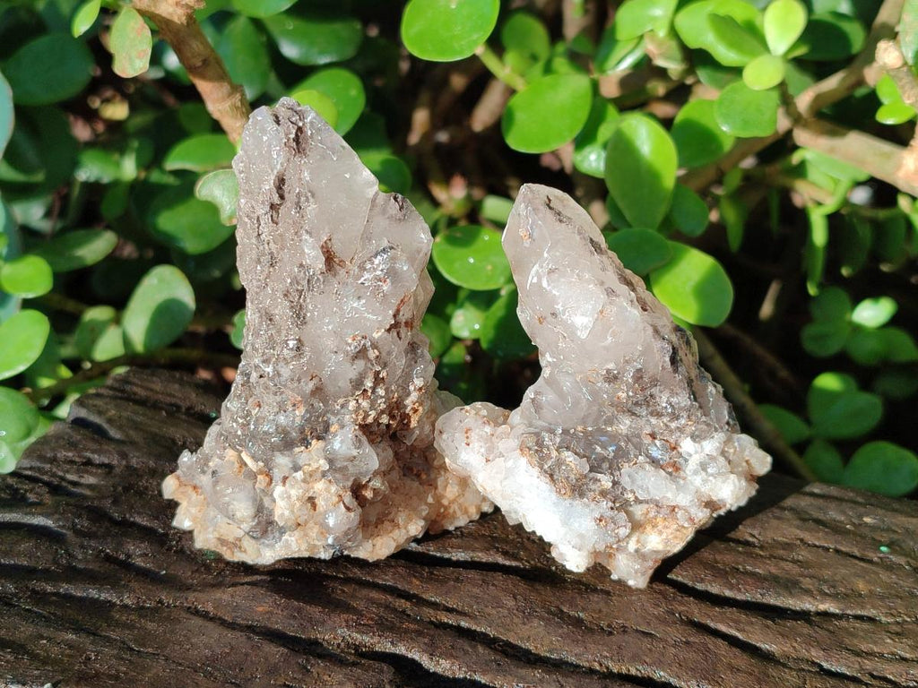 Natural Drusy Quartz Coated Calcite Crystal and Cluster Specimens x 12 From Albert's Mountain, Lesotho - Toprock Gemstones and Minerals 