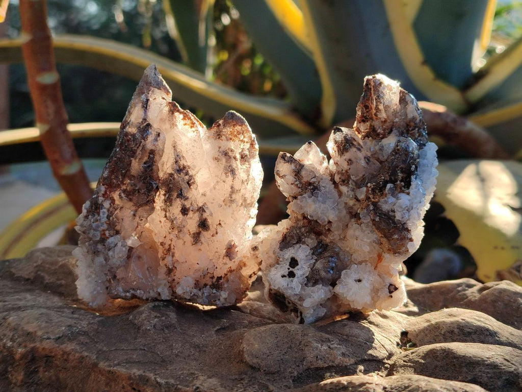 Natural Drusy Quartz Coated Calcite Crystal and Cluster Specimens x 12 From Albert's Mountain, Lesotho - Toprock Gemstones and Minerals 