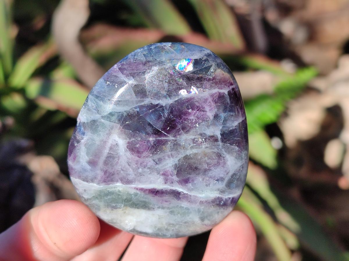Polished Watermelon Fluorite Free Forms x 12 From Uis, Namibia
