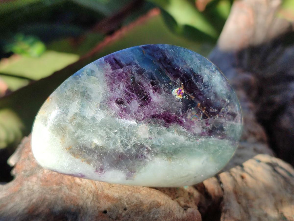 Polished Watermelon Fluorite Free Forms x 12 From Uis, Namibia