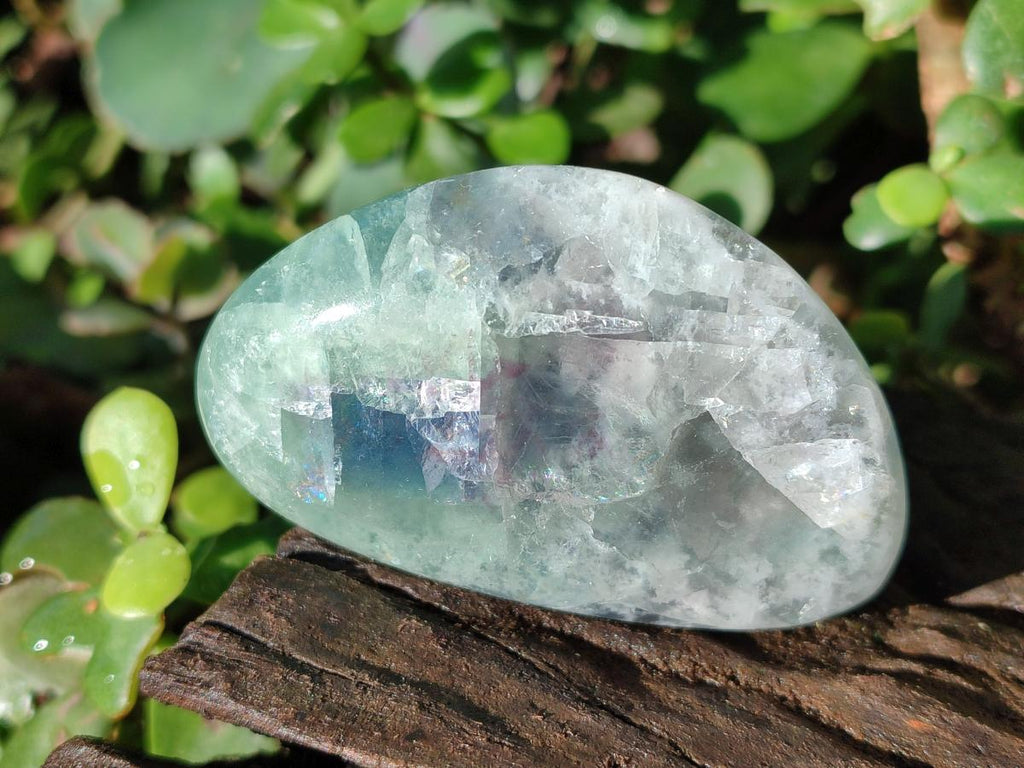 Polished Watermelon Fluorite Free Forms x 12 From Uis, Namibia