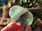 Polished Watermelon Fluorite Free Forms x 12 From Uis, Namibia