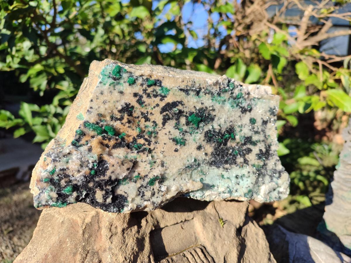 Natural Large Drusy Coated Chrysocolla Specimen with Ball Malachite and Heterogenite on Dolomite Matrix x 1 From Lupoto Mine, Congo - Toprock Gemstones and Minerals 