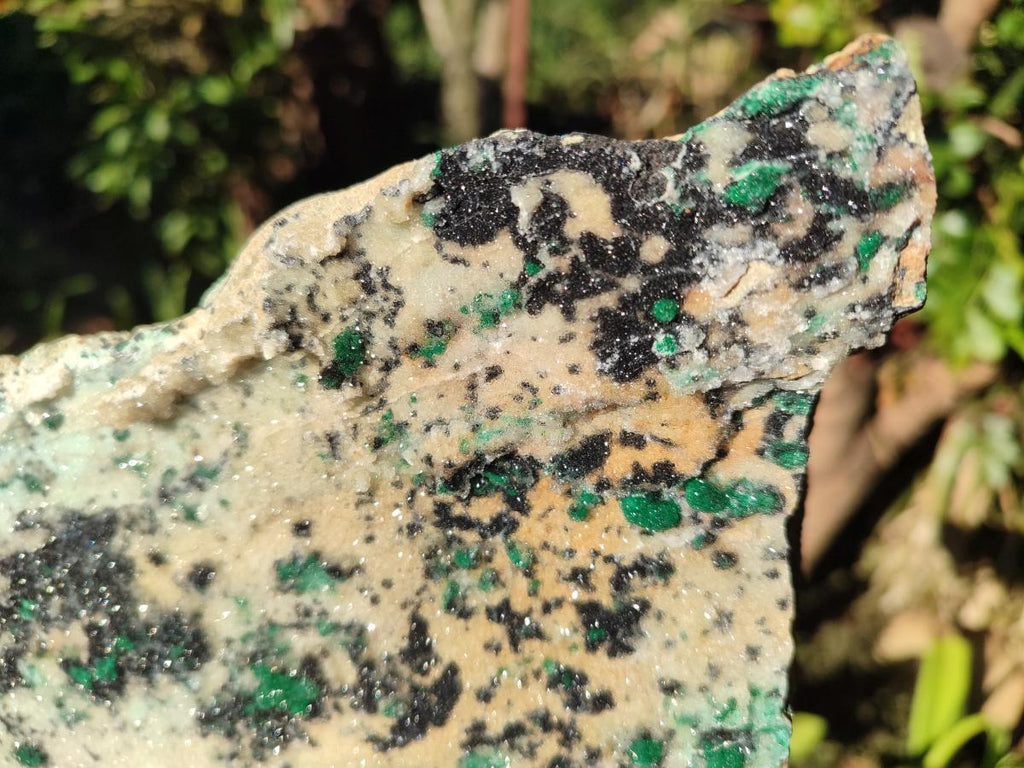 Natural Large Drusy Coated Chrysocolla Specimen with Ball Malachite and Heterogenite on Dolomite Matrix x 1 From Lupoto Mine, Congo - Toprock Gemstones and Minerals 