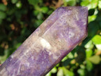 Polished Lepidolite Display Crystals x 12 From Ambatondrazaka, Madagascar - Toprock Gemstones and Minerals 