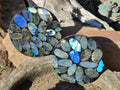 Polished Labradorite Conglomerate Coasters x 6 From Madagascar - Toprock Gemstones and Minerals 