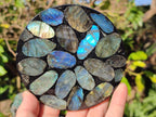 Polished Labradorite Conglomerate Coasters x 6 From Madagascar - Toprock Gemstones and Minerals 
