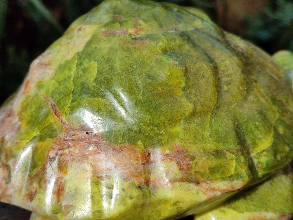 Hand Made Large Green Opal Turtule Carving x 1 From Betroka, Madagascar - Toprock Gemstones and Minerals 