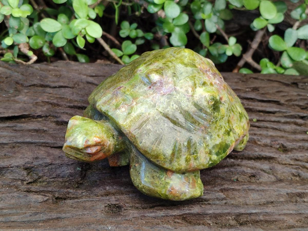 Hand Made Large Green Opal Turtule Carving x 1 From Betroka, Madagascar - Toprock Gemstones and Minerals 