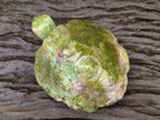 Hand Made Large Green Opal Turtule Carving x 1 From Betroka, Madagascar - Toprock Gemstones and Minerals 
