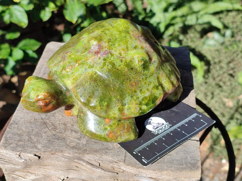 Hand Made Large Green Opal Turtule Carving x 1 From Betroka, Madagascar - Toprock Gemstones and Minerals 