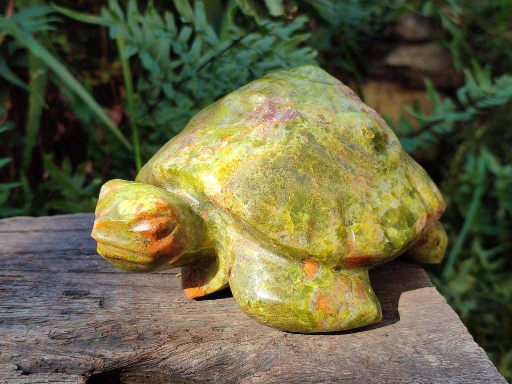Hand Made Large Green Opal Turtule Carving x 1 From Betroka, Madagascar - Toprock Gemstones and Minerals 