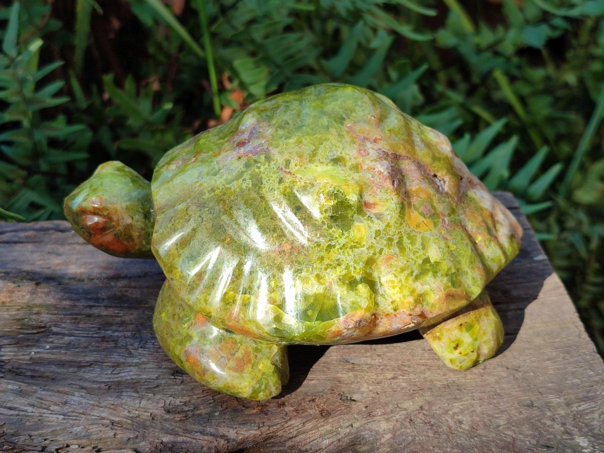 Hand Made Large Green Opal Turtule Carving x 1 From Betroka, Madagascar - Toprock Gemstones and Minerals 
