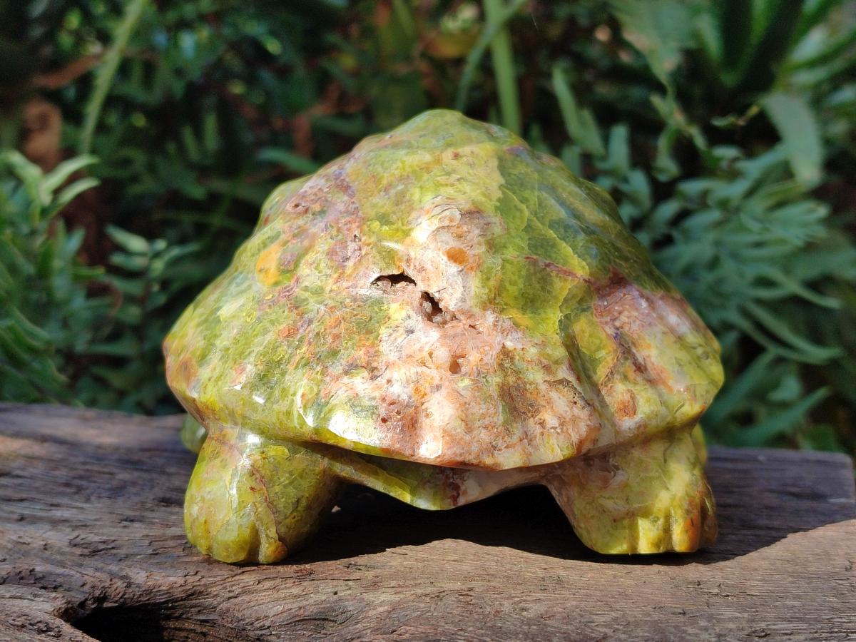 Hand Made Large Green Opal Turtule Carving x 1 From Betroka, Madagascar - Toprock Gemstones and Minerals 