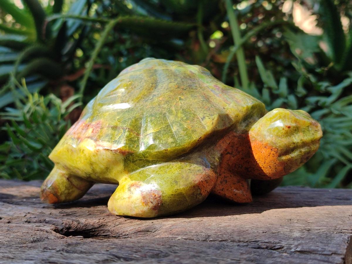 Hand Made Large Green Opal Turtule Carving x 1 From Betroka, Madagascar - Toprock Gemstones and Minerals 