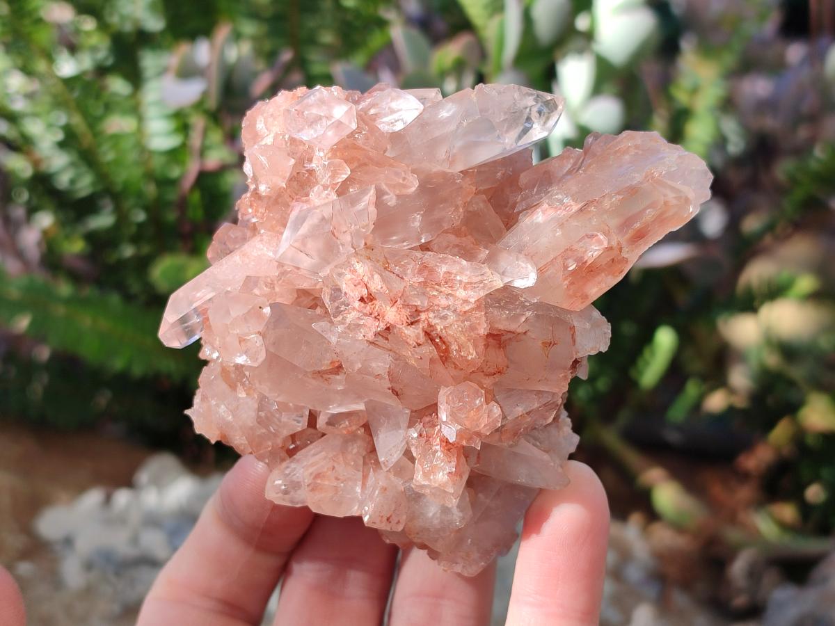 Natural Mpika Quartz Clusters x 6 From Mpika, Zambia - Toprock Gemstones and Minerals 
