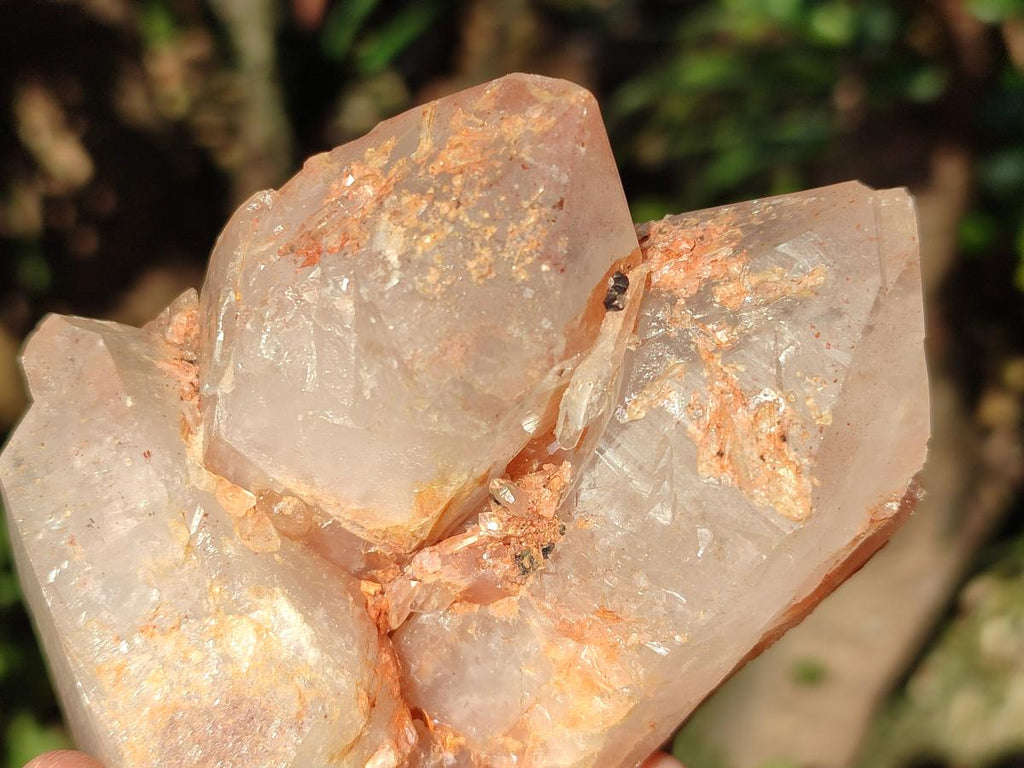 Natural Mpika Quartz Clusters x 6 From Mpika, Zambia - Toprock Gemstones and Minerals 