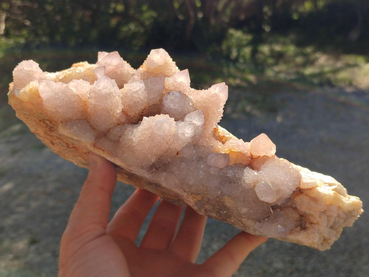 Natural XL Spirit Amethyst Cluster x 1 From Boekenhouthoek, South Africa - Toprock Gemstones and Minerals 