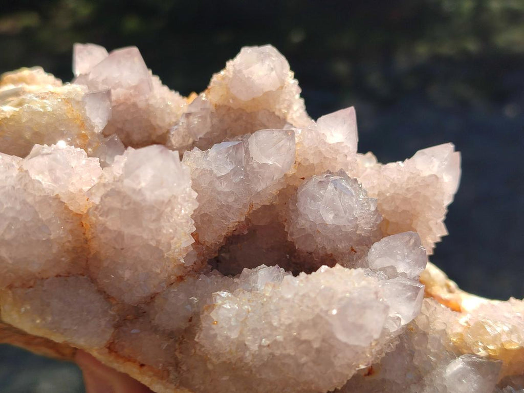Natural XL Spirit Amethyst Cluster x 1 From Boekenhouthoek, South Africa - Toprock Gemstones and Minerals 