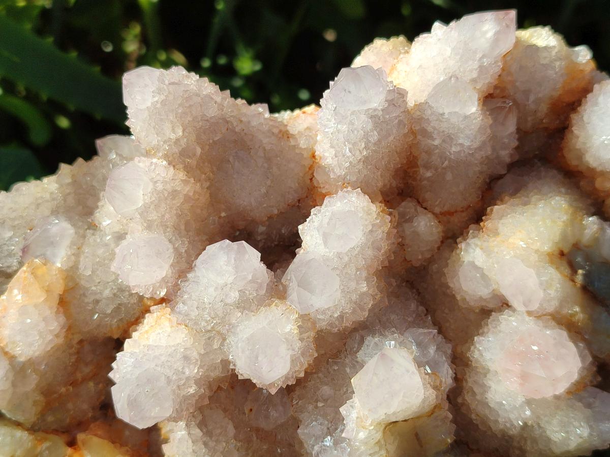Natural XL Spirit Amethyst Cluster x 1 From Boekenhouthoek, South Africa - Toprock Gemstones and Minerals 