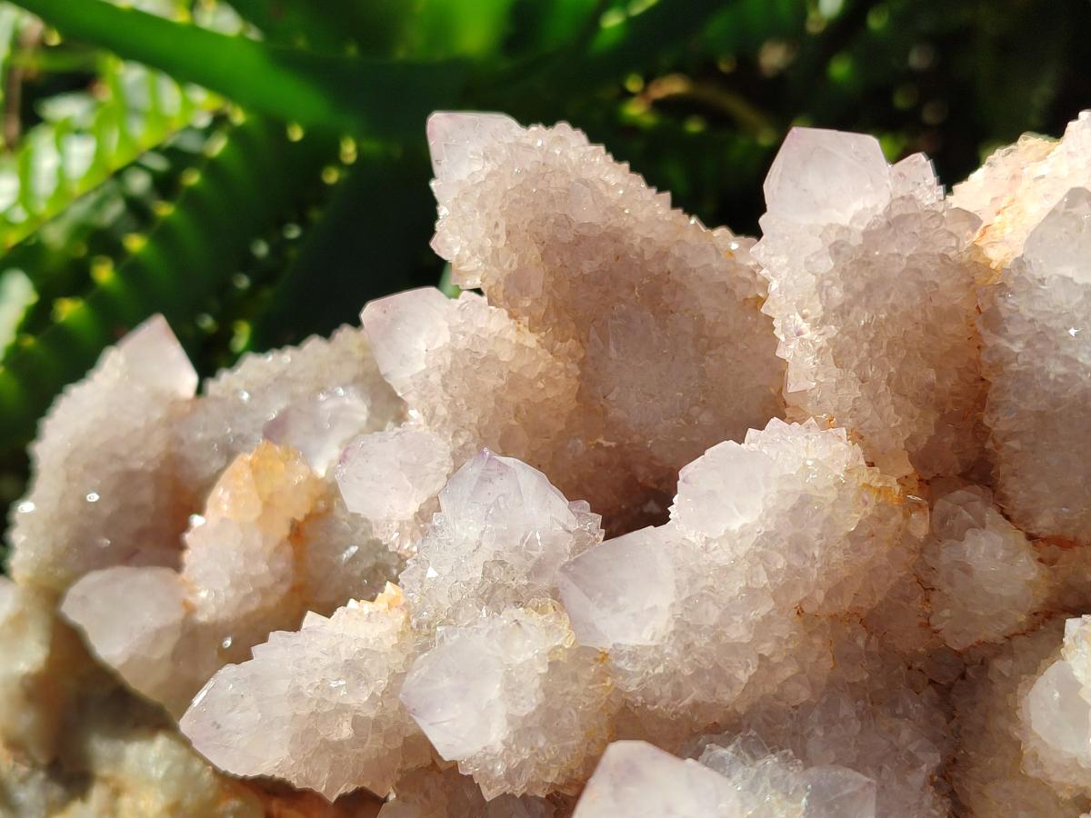 Natural XL Spirit Amethyst Cluster x 1 From Boekenhouthoek, South Africa - Toprock Gemstones and Minerals 