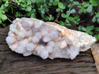 Natural XL Spirit Amethyst Cluster x 1 From Boekenhouthoek, South Africa - Toprock Gemstones and Minerals 
