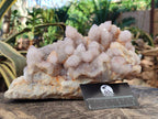 Natural XL Spirit Amethyst Cluster x 1 From Boekenhouthoek, South Africa - Toprock Gemstones and Minerals 