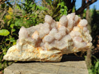 Natural XL Spirit Amethyst Cluster x 1 From Boekenhouthoek, South Africa - Toprock Gemstones and Minerals 