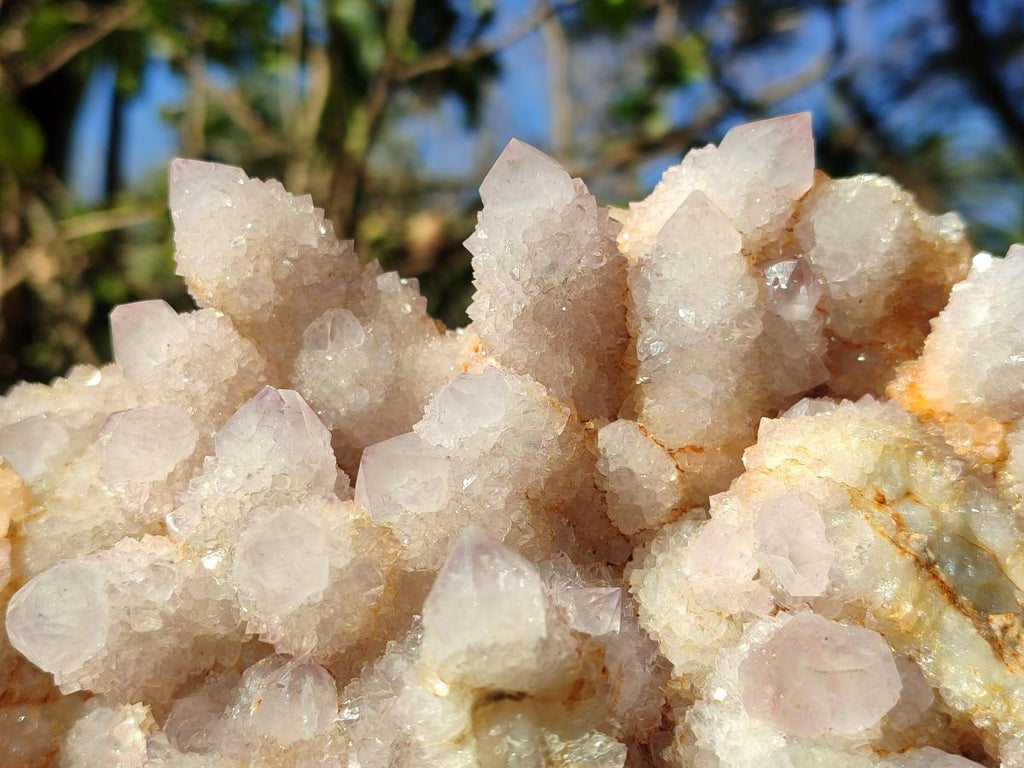 Natural XL Spirit Amethyst Cluster x 1 From Boekenhouthoek, South Africa - Toprock Gemstones and Minerals 