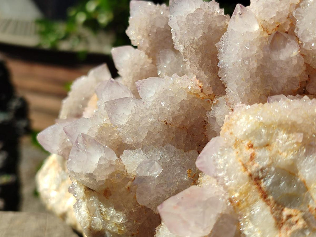 Natural XL Spirit Amethyst Cluster x 1 From Boekenhouthoek, South Africa - Toprock Gemstones and Minerals 