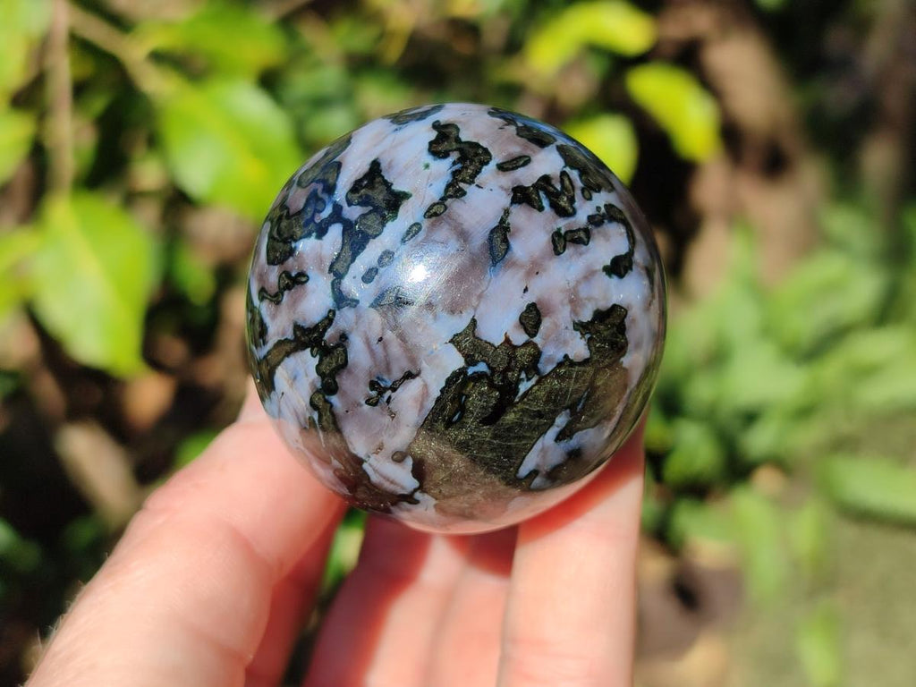 Polished Gabbro 'Merlinite' Mushrooms x 6 From Ambatofinandrahana, Madagascar - Toprock Gemstones and Minerals 