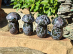 Polished Gabbro 'Merlinite' Mushrooms x 6 From Ambatofinandrahana, Madagascar - Toprock Gemstones and Minerals 
