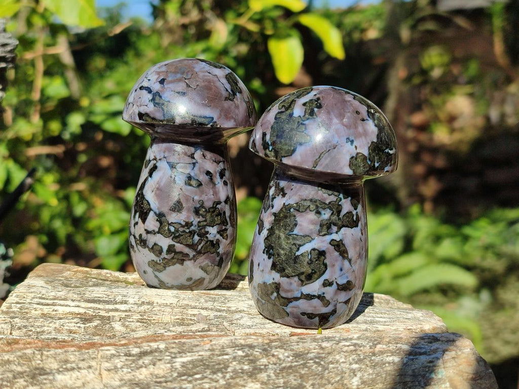 Polished Gabbro 'Merlinite' Mushrooms x 6 From Ambatofinandrahana, Madagascar - Toprock Gemstones and Minerals 