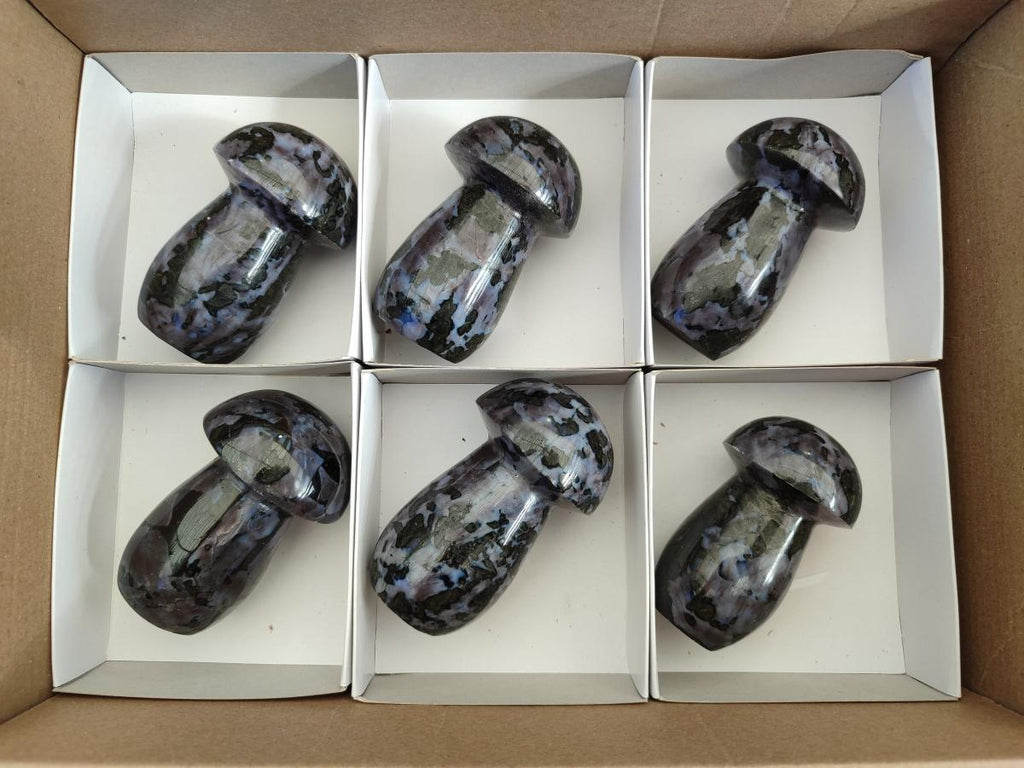 Polished Gabbro 'Merlinite' Mushrooms x 6 From Ambatofinandrahana, Madagascar - Toprock Gemstones and Minerals 