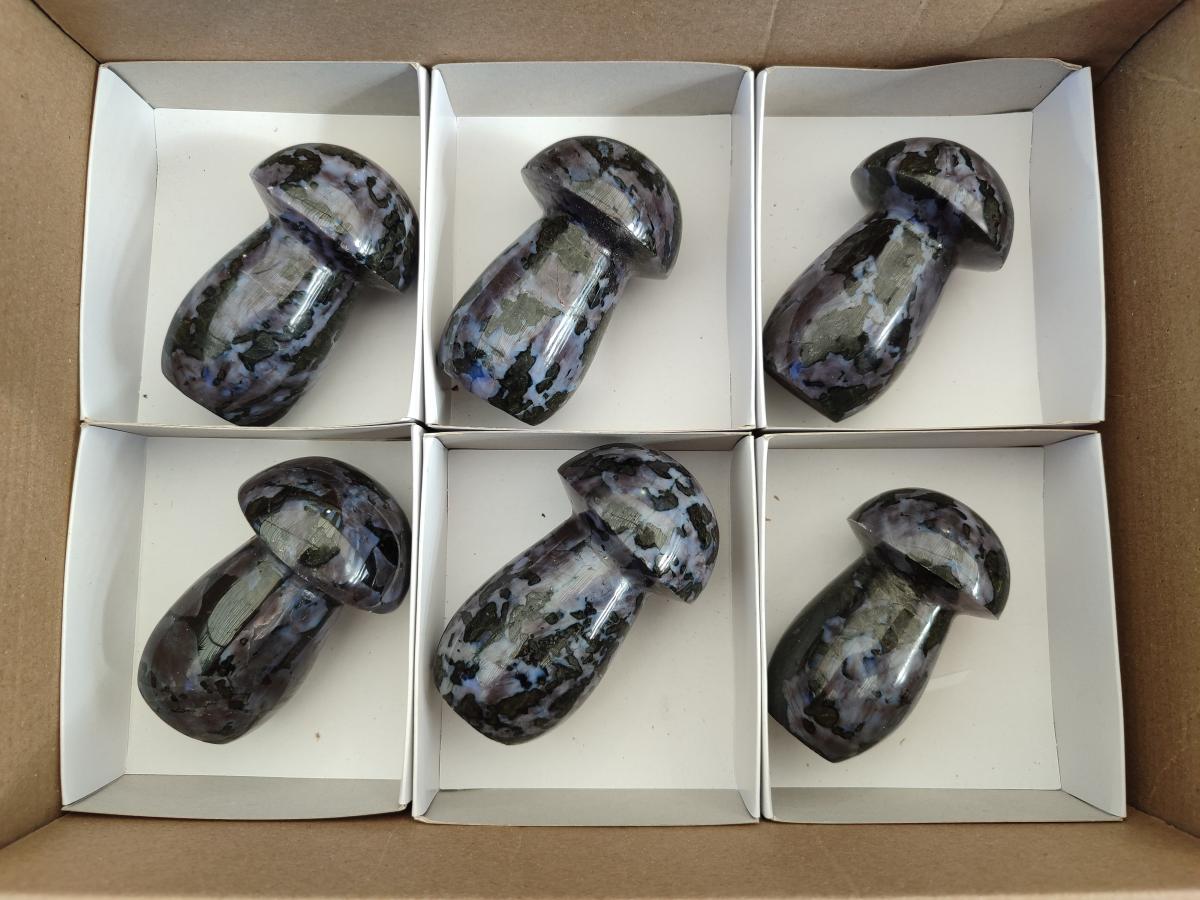 Polished Gabbro 'Merlinite' Mushrooms x 6 From Ambatofinandrahana, Madagascar - Toprock Gemstones and Minerals 