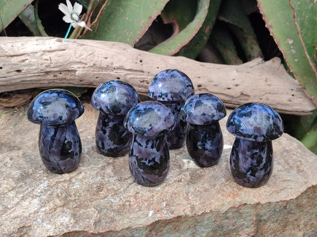 Polished Gabbro 'Merlinite' Mushrooms x 6 From Ambatofinandrahana, Madagascar - Toprock Gemstones and Minerals 