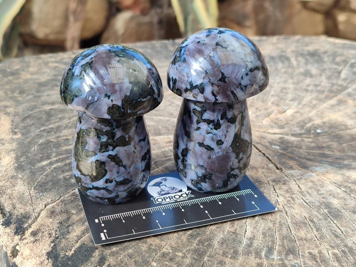 Polished Gabbro 'Merlinite' Mushrooms x 6 From Ambatofinandrahana, Madagascar - Toprock Gemstones and Minerals 
