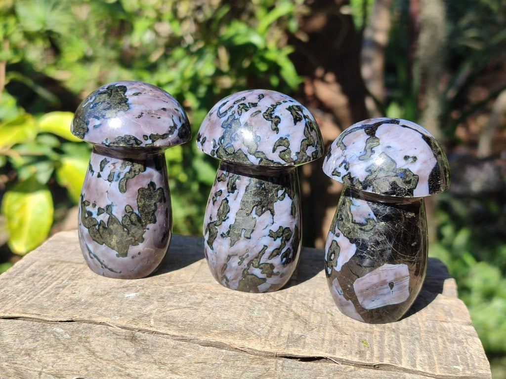 Polished Gabbro 'Merlinite' Mushrooms x 6 From Ambatofinandrahana, Madagascar - Toprock Gemstones and Minerals 