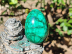 Polished Flower Banded Malachite Gemstone Eggs x 6 From Congo - Toprock Gemstones and Minerals 