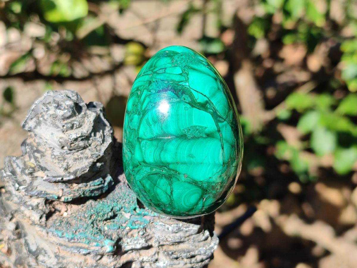 Polished Flower Banded Malachite Gemstone Eggs x 6 From Congo - Toprock Gemstones and Minerals 