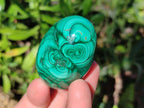 Polished Flower Banded Malachite Gemstone Eggs x 6 From Congo - Toprock Gemstones and Minerals 