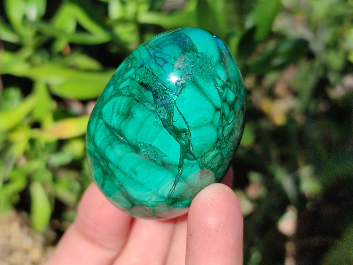 Polished Flower Banded Malachite Gemstone Eggs x 6 From Congo - Toprock Gemstones and Minerals 