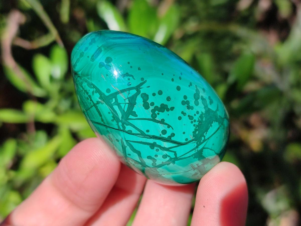 Polished Flower Banded Malachite Gemstone Eggs x 6 From Congo - Toprock Gemstones and Minerals 