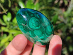 Polished Flower Banded Malachite Gemstone Eggs x 6 From Congo - Toprock Gemstones and Minerals 