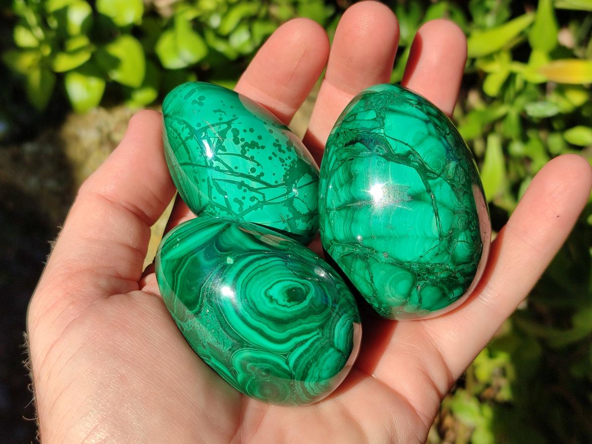 Polished Flower Banded Malachite Gemstone Eggs x 6 From Congo - Toprock Gemstones and Minerals 