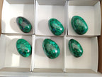 Polished Flower Banded Malachite Gemstone Eggs x 6 From Congo - Toprock Gemstones and Minerals 