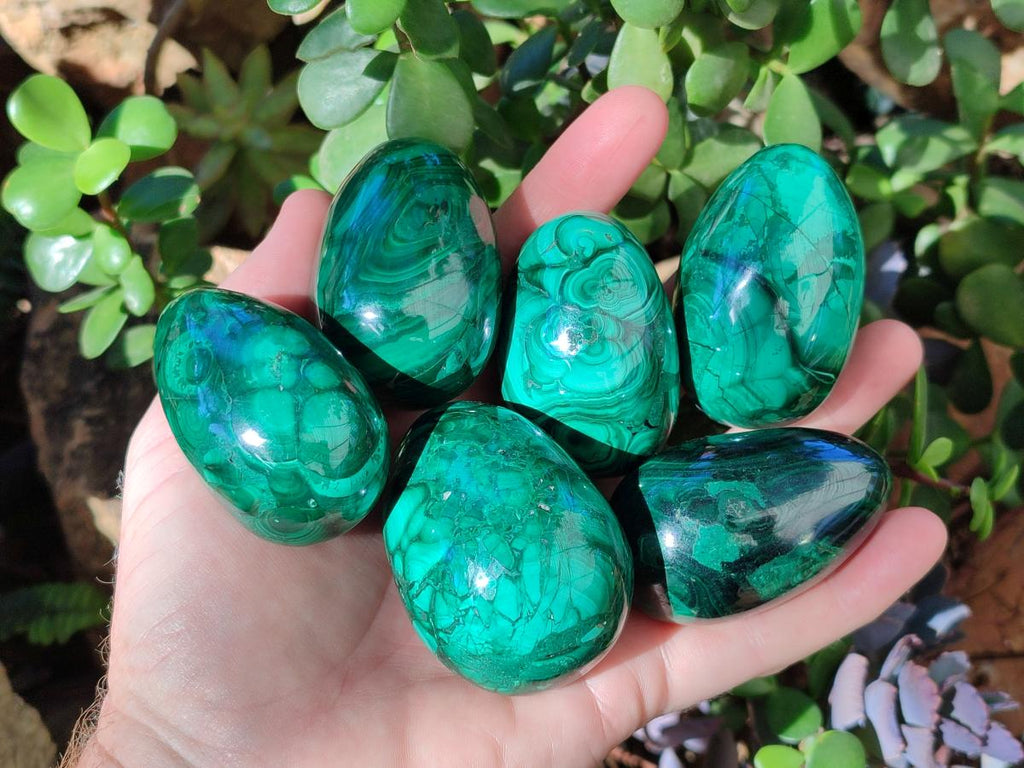 Polished Flower Banded Malachite Gemstone Eggs x 6 From Congo - Toprock Gemstones and Minerals 