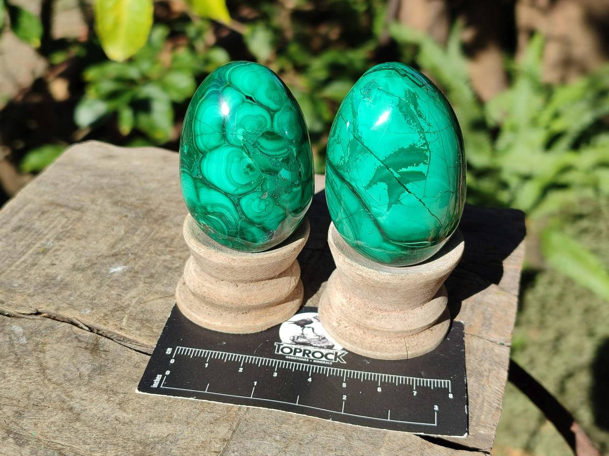 Polished Flower Banded Malachite Gemstone Eggs x 6 From Congo - Toprock Gemstones and Minerals 